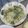 王雅綸 的 炒奶油高麗菜 cooksnap