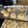 Isabella Weatherly's cooksnap of when they made Toll House Chocolate Chip Cookies - No nuts.
