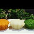 Rita Talukdar Adak's cooksnap of when they made তিরঙ্গা ধোকলা (Tirnga Dhokla recipe in bengali).