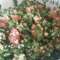 Cooksnap de Aline Demolin sur la recette Taboulé libanais version sans gluten