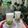 Cooksnap dari Anna Hadi_ant untuk resep Avocado Fresh Milk