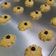 Cooksnap dari Fonda Agustin untuk resep Kue Semprit Keju
