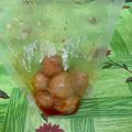 Cooksnap dari faridah untuk resep Baso Aci Tulang Rangu komplit