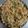 Binita Patel's cooksnap of when they made Schezwan fried rice.