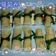潘俊霖的(簡單料理) 的 水晶蘿蔔捲 cooksnap