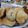 El cooksnap de Carmen Morel cuando hizo Scones dulces de vainilla.