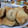 El cooksnap de Carmen Morel cuando hizo Scones dulces de vainilla.