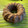 El cooksnap de madeolse cuando hizo Bundt cake de calabaza y plátano macho maduro.