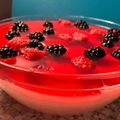Cooksnap από Lena K στη συνταγή Mastiha pink pudding with red jelly & berries (ροζ πουτίγκα με ζελέ, μούρα & μαστίχα Χίου) 💕🩷💕🩷💕