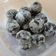 Cooksnap dari Iin Iin untuk resep Black Snow White Cookies / Putri Salju Oreo