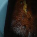 El cooksnap de Lore Lorena cuando hizo Budín húmedo de banana.