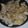 El cooksnap de paola cuando hizo Pechugas encebolladas.