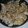 El cooksnap de paola cuando hizo Pechugas encebolladas.