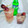 Delu's Kitchen 's cooksnap of when they made Grape Juice.