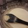 El cooksnap de Patricia Gamboa cuando hizo Arroz con leche cremoso.