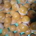 Cooksnap dari fitria untuk resep Nastar cookies endes dijamin