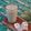 Cooksnap dari Siswaty Elfin Bachtiar untuk resep Hongkong Milk Tea
