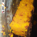 El cooksnap de Abigail schreiber cuando hizo Torta de zanahoria 🥕 carrot cake.