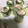 Zahal_treats 's cooksnap of when they made Cucumber rolls 🥒.