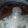 El cooksnap de Marite Paolillo cuando hizo Bizcochuelo casero de chocolate.