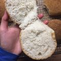 Diána Kocsisné Tóth Cooksnap-ja, amikor elkészítette a(z) Gluténmentes zsemle Schar lisztből receptet.