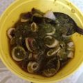 Cooksnap dari Fradhita Sholikha untuk resep Cumi Sambel Ijo