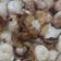 Cooksnap dari Nurina Widyastutie untuk resep Cumi tumis garlic olive oil