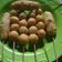 Cooksnap dari Annisa untuk resep Stick Kentang Keju