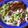 El cooksnap de AliceM26 cuando hizo Pollo al limón con salsa rústica de aguacate.