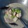 Cooksnap dari Galuh Novita untuk resep Sayur Lodeh (Labu, Terong, Tempe)