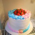 Sally 's cooksnap of when they made Basic Vanilla cake.