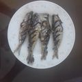 Cooksnap của Nguyễn Tài Đức khi họ làm theo món Cá Trích Chiên Giòn Chấm Mắm Ngò