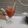 Mona Ali's cooksnap of when they made Watermelon juice.