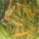 Cooksnap dari Istinah Istinah untuk resep Pesmol Ikan (Bumbu Kuning)