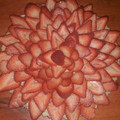 El cooksnap de Tamara Puebla cuando hizo Tarta de frutillas y crema pastelera.