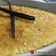 Cooksnap από FILIPPIA στη συνταγή Creme Brulee