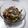 Cooksnap dari Dian Ardiani untuk resep Tumis Kembang Turi