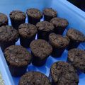 Cooksnap dari Nike Dewi untuk resep Muffin coklat