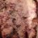 Zoli Cooksnap-ja, amikor elkészítette a(z) Fűszervajas baconbe tekert csirkemell csíkok sajttal szórva receptet.
