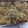 bartoncollege1996's cooksnap of when they made Chicken lo mein.