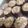 Cooksnap dari fitriah handayani untuk resep Banana Muffin (no mixer, yummi dan simpel)