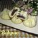 Cooksnap dari Niar Amalia untuk resep Pao Pandan Kosong (tanpa isi)