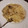 El cooksnap de Laura Alfaro cuando hizo Risotto de boletus.