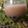 Cooksnap dari Indri Yusnita untuk resep Bubble Milk Tea