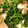 BrianDW's cooksnap of when they made Simple spinach salad with Japanese twist.