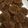 Cooksnap dari ifa antika untuk resep Milo Cookies