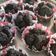 Cooksnap dari Dini Wahyuni untuk resep Bolu Kukus Coklat Mekar