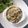 Cooksnap dari Yuli Tiarni untuk resep Creamy macaroni pasta with spinach (Krim Macaroni Bayam)