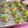 Cooksnap dari IndriWibisono untuk resep Turtle Cookies (nastar kura-kura)