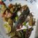 Cooksnap dari yulie puspa untuk resep 19. Tumis Cabe Ikan Cue Keranjang